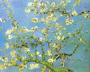 Vincent Van Gogh Blossomong Almond Tree oil on canvas